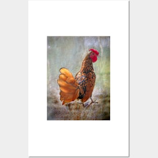 The Rooster Posters and Art